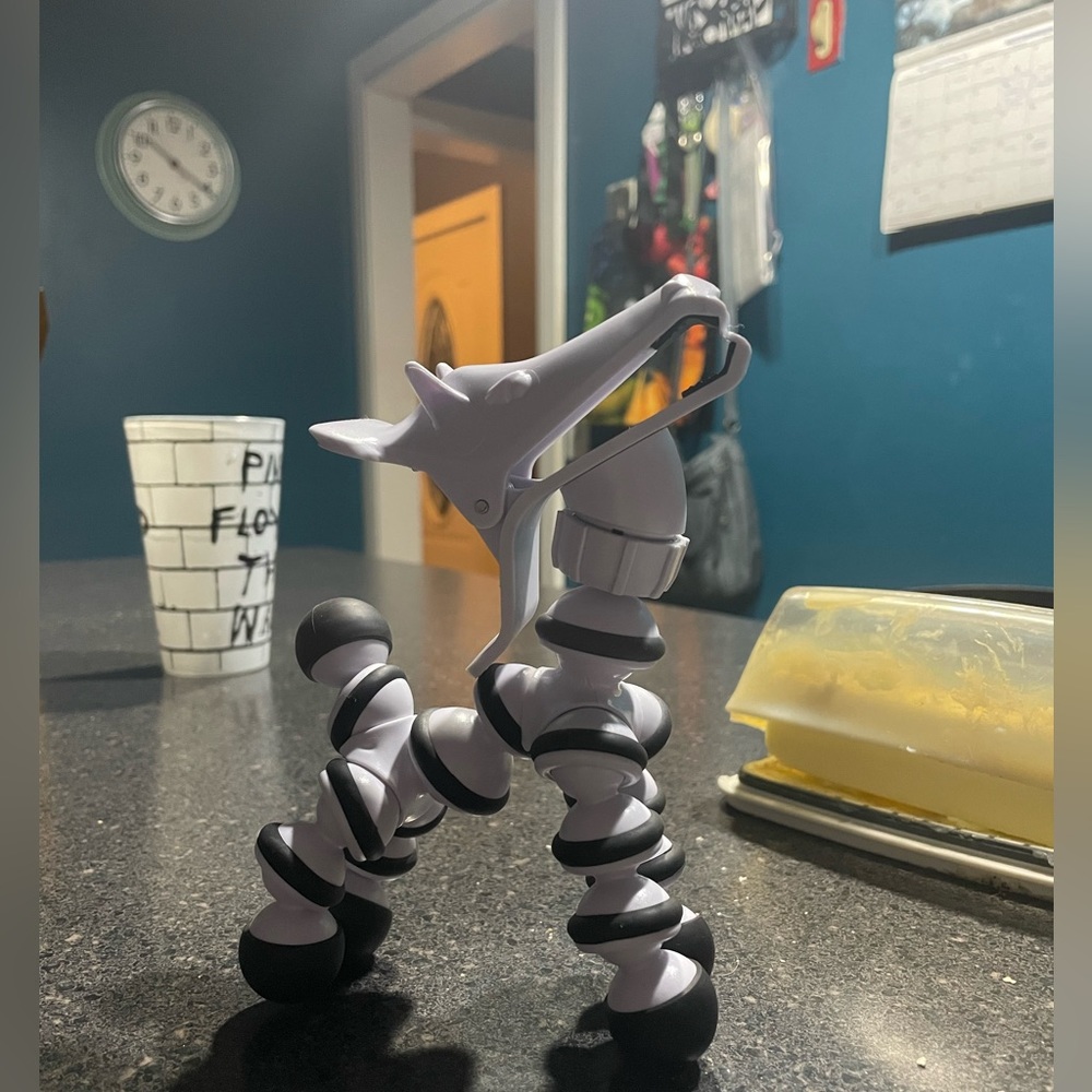 Zebra phone holder!